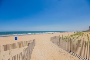 On the beach, sun-loungers, beach towels