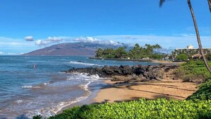 A beach with rocky shoreline, palm trees, and a mountain in the background. - Plantation House (Kihei)