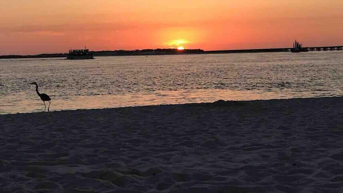 Una spiaggia nelle vicinanze, lettini da mare, teli da spiaggia