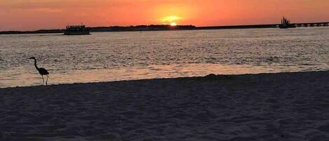 Beach nearby, sun-loungers, beach towels
