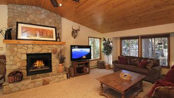 Smart TV, fireplace, books
