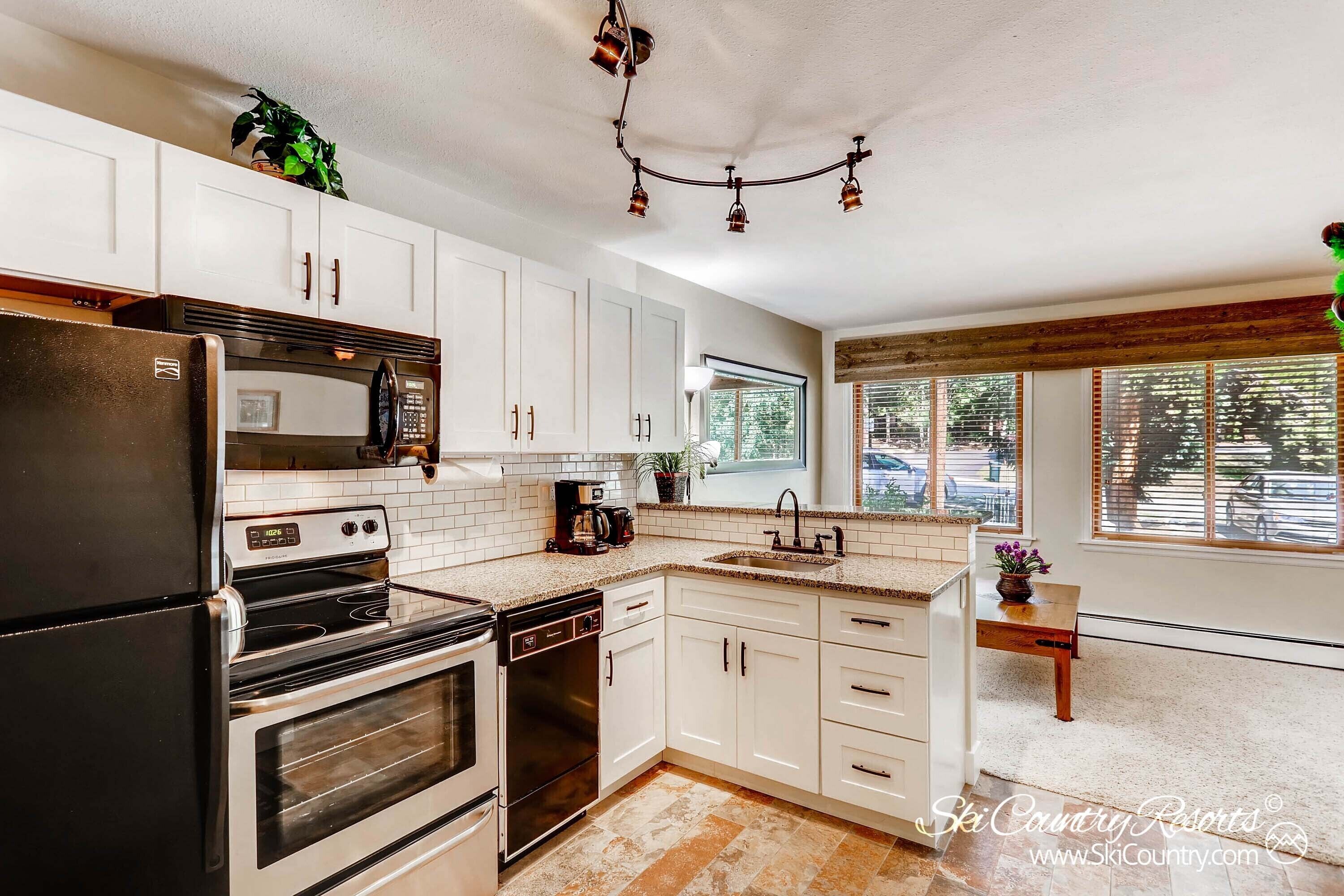 WOOF! Dog Friendly 1 Bedroom Condo. Recent Updates, Ski In, Walk to Main St..