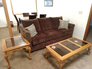 Smart TV, fireplace, DVD player, books