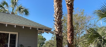 "UNDER THE PALMS" of Downtown Mount Dora