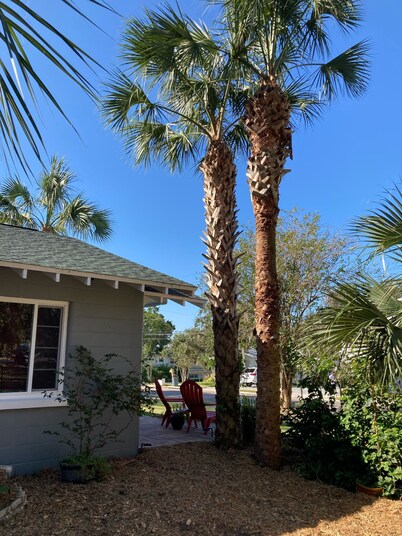 "UNDER THE PALMS" of Downtown Mount Dora