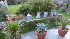 Un jardin agrémenté de plantes en pot et d’arrosoirs en métal, le tout disposé le long d’un chemin de pierres.