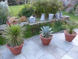 Um jardim com plantas em vasos e regadores de metal em um caminho de pedra.