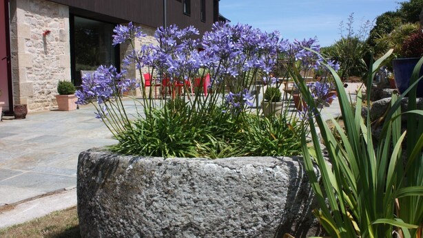 Un bac à fleurs en pierre, orné de fleurs violettes, se trouve devant un bâtiment à la façade en pierre et à l’extérieur de couleur brun foncé.