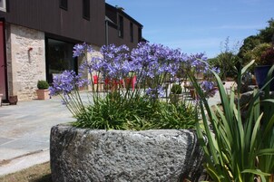 Um cachepot de pedra com flores roxas em frente a um edifício com fachada de pedra e exterior castanho escuro.
