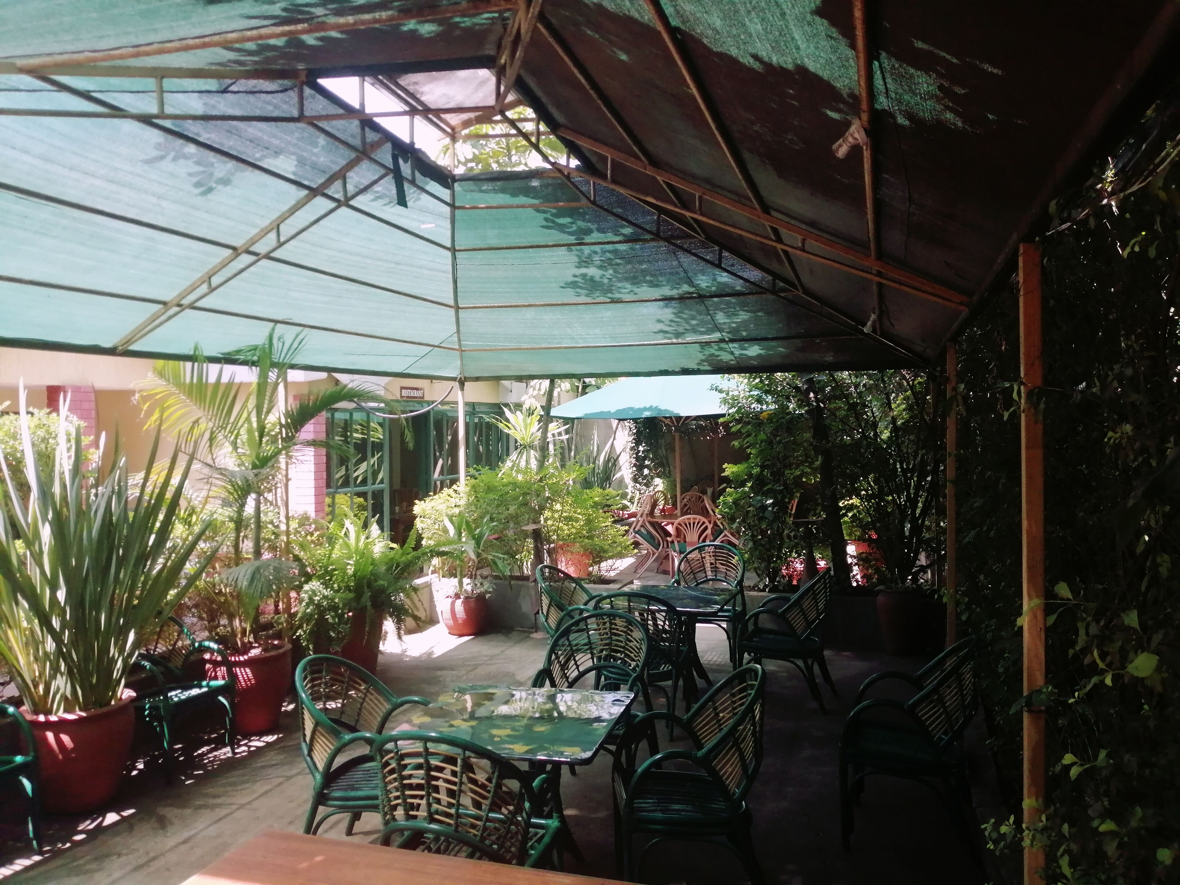 Un espacio de patio al aire libre con mesas y sillas, rodeado de plantas en macetas y una estructura cubierta.