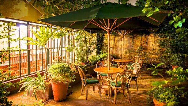 Un espacio patio con una mesa redonda y sillas, rodeado de macetas con plantas y un gran paraguas.