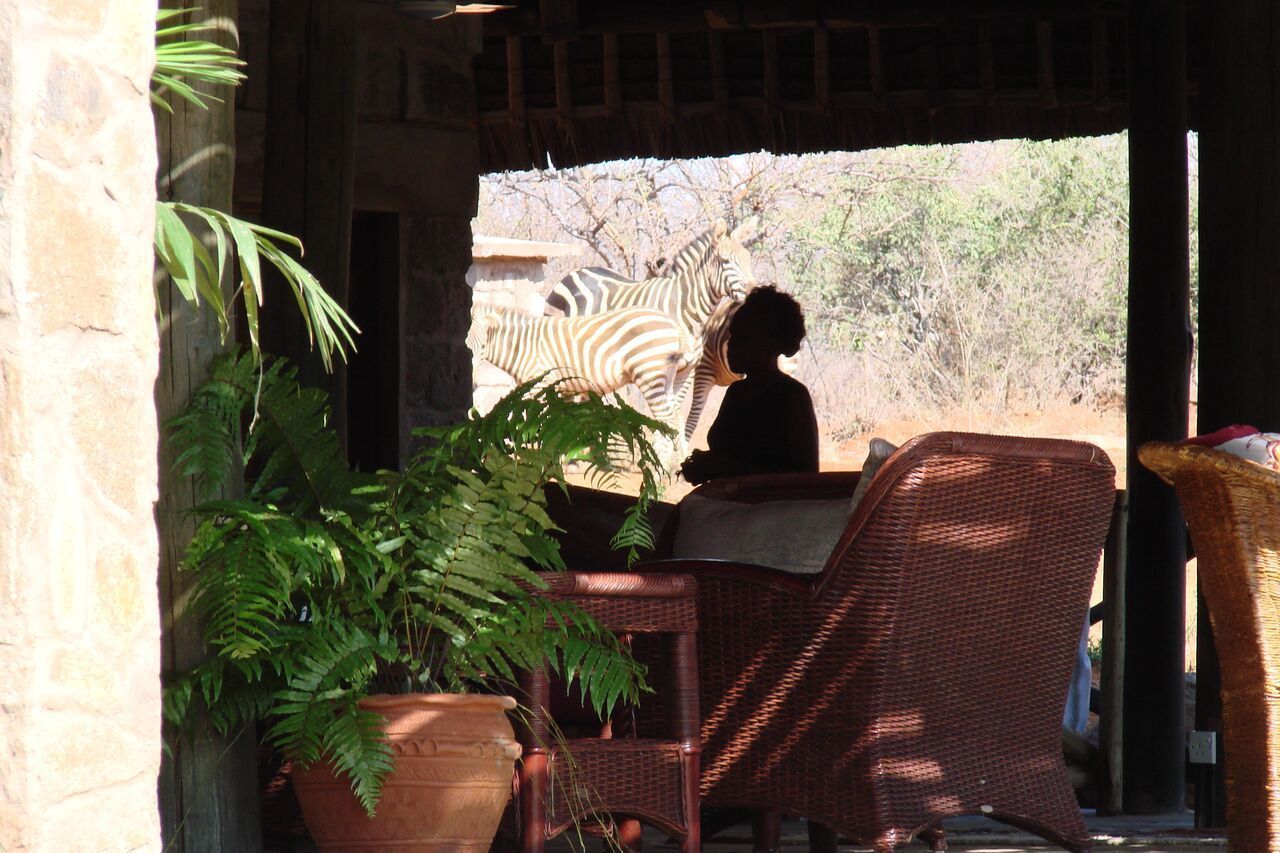 A room with a view of zebras through a glass enclosure.
