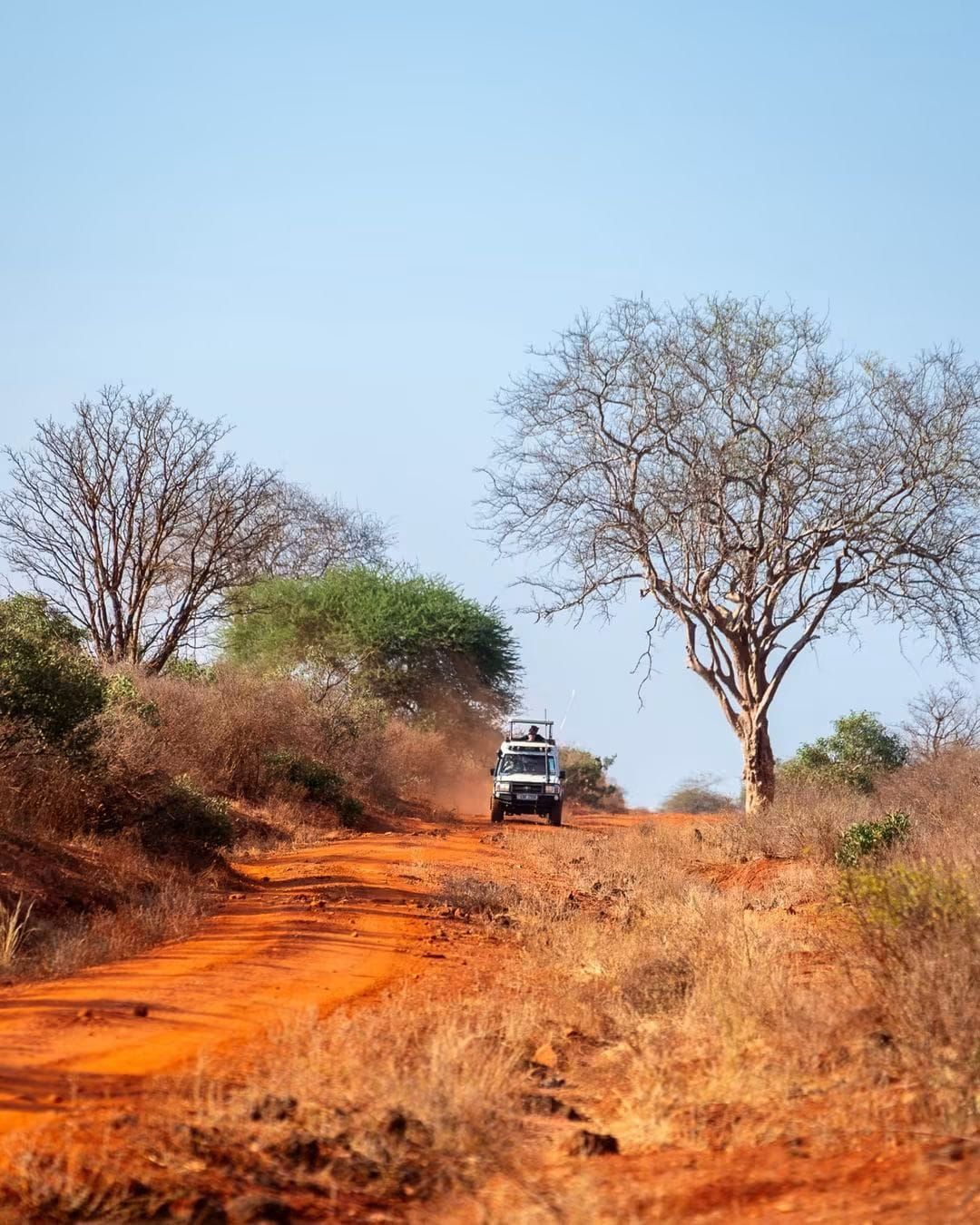 A vehicle on a dirt road with sparse vegetation and trees.