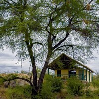 Un edificio pequeño de una sola planta con techo inclinado, rodeado de follaje verde denso y un árbol grande.