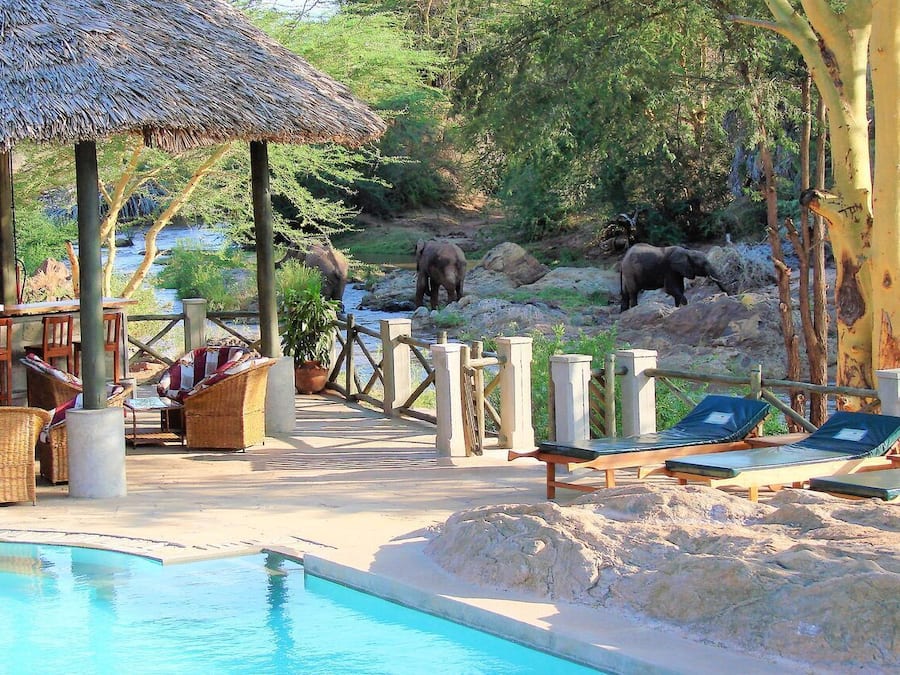A poolside area with lounge chairs, a thatched roof structure, and a view of elephants in the background.