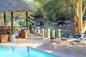 Zona de piscina con sillones de descanso, una estructura de techo de paja y vista de elefantes al fondo.