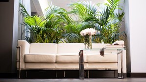 Una sala moderna con un sofá color beige, una mesa de centro de vidrio y diversas plantas verdes.