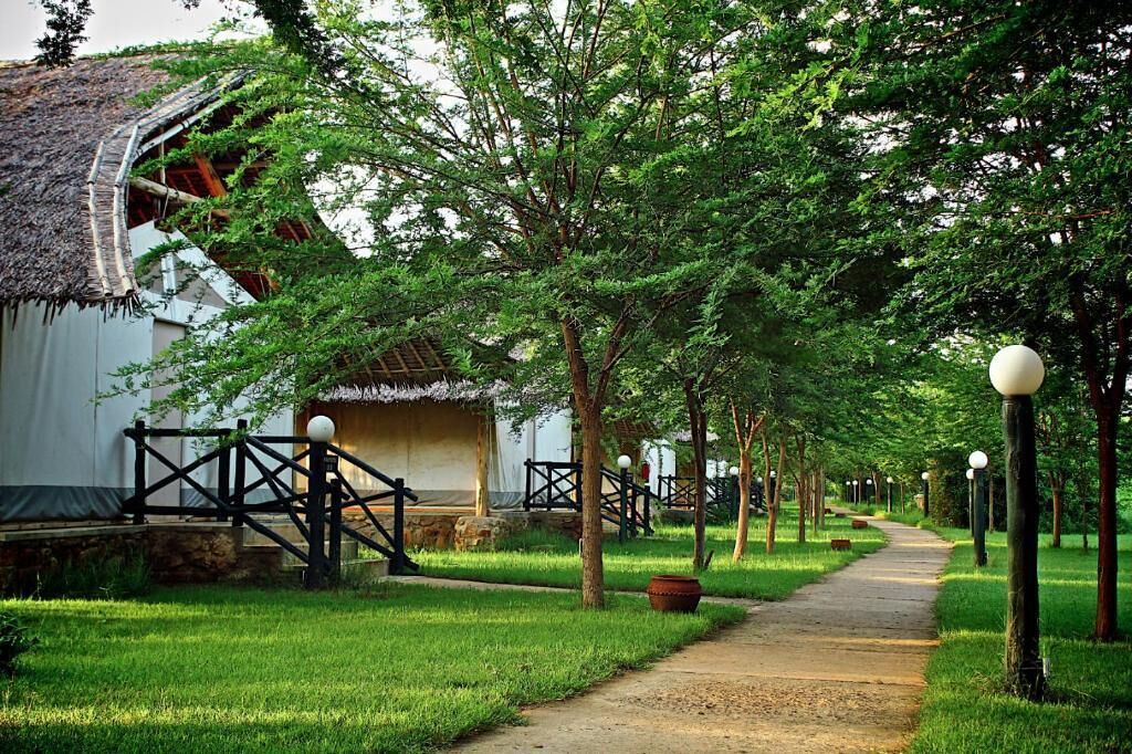 A pathway lined with trees and a rustic building with a thatched roof.