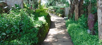 Naro Moru River Lodge