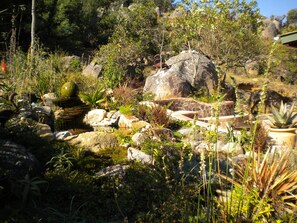 Property grounds - Veki's Village (Mbabane)
