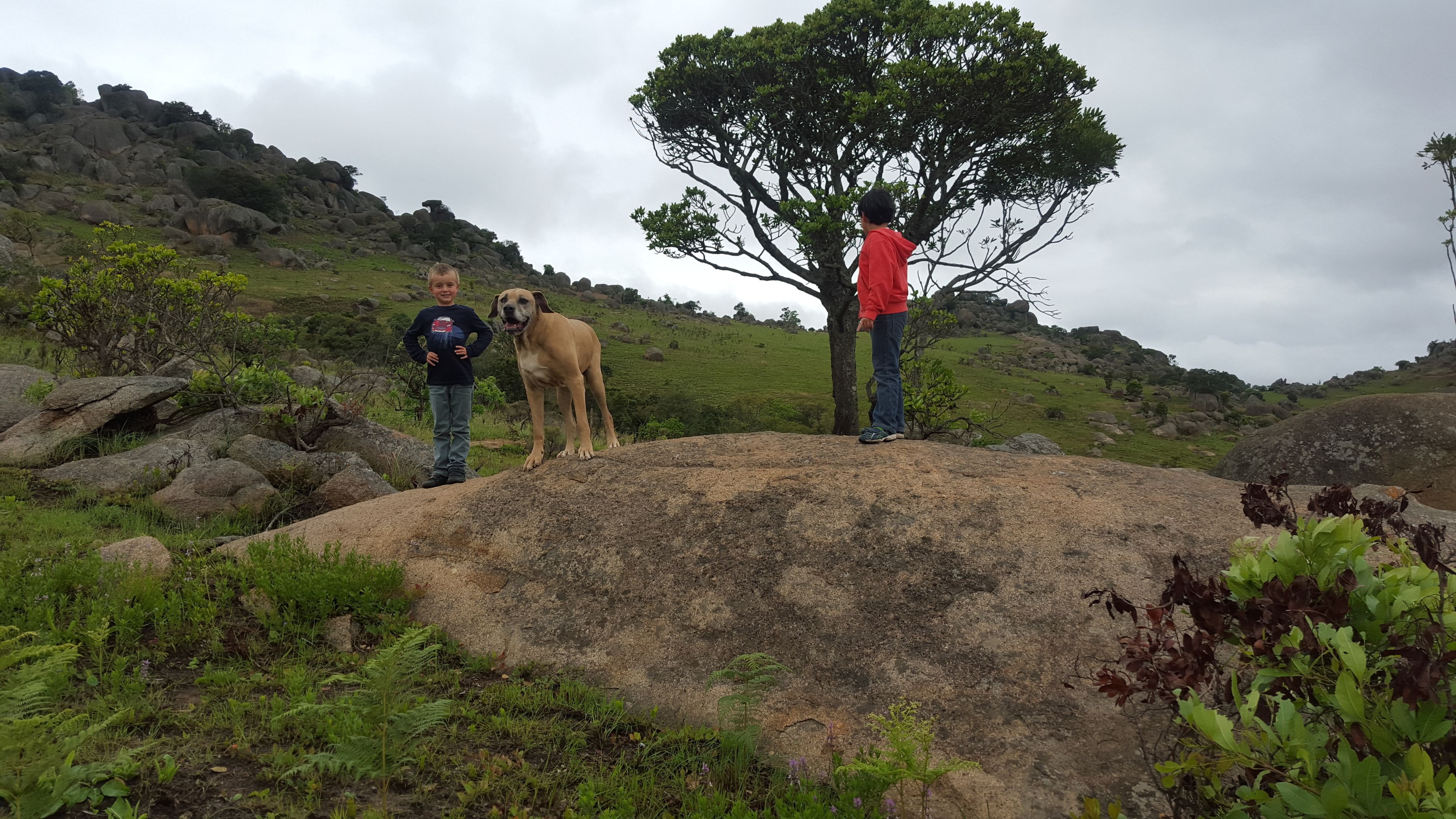 Three people standing on a large rock with a tree in the background.
