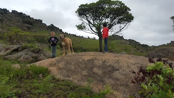 Three people standing on a large rock with a tree in the background.