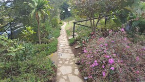 Un chemin de pierres dans un jardin où l’on trouve différentes plantes et fleurs.