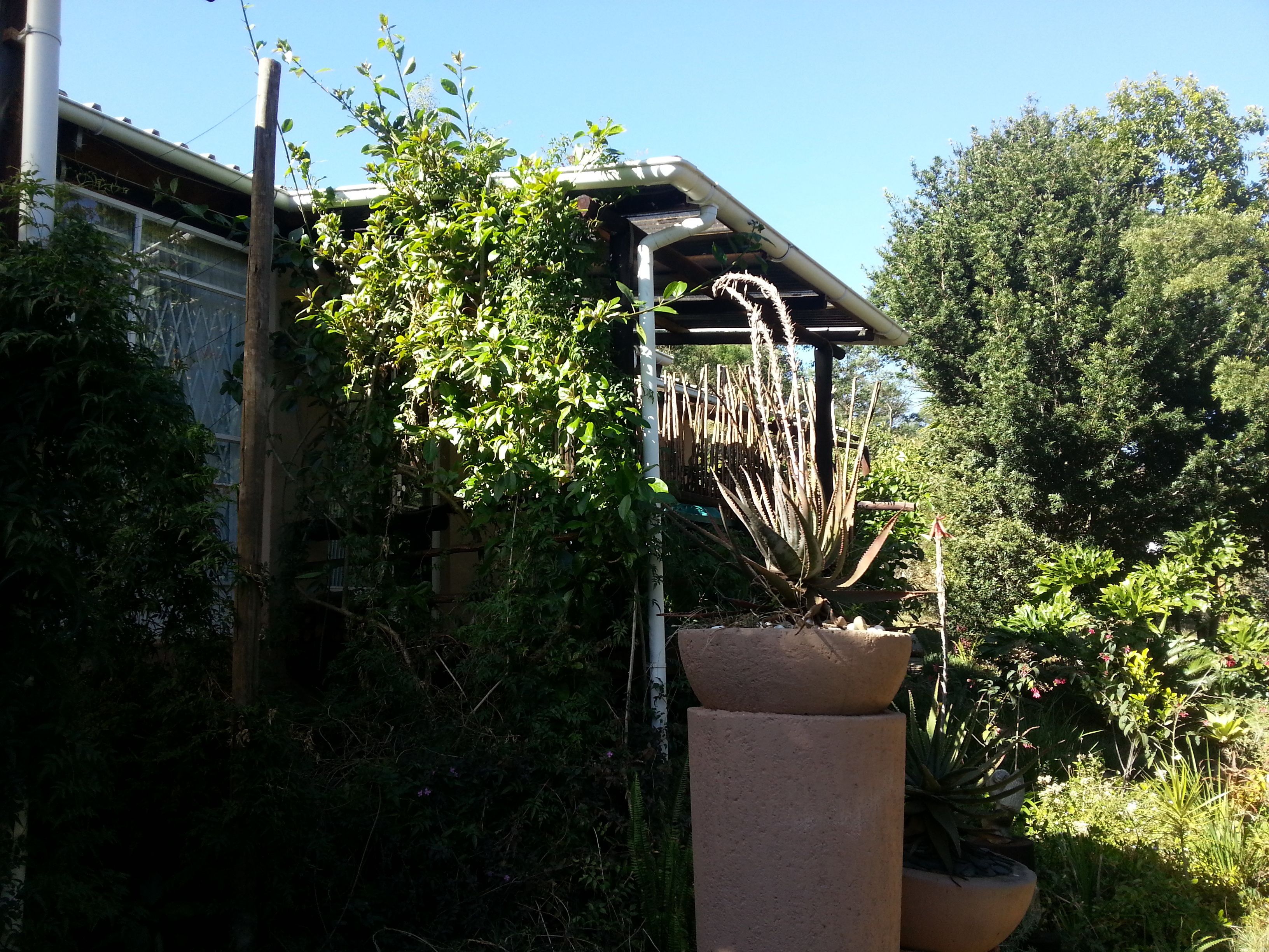 A garden with a variety of plants and a concrete planter.