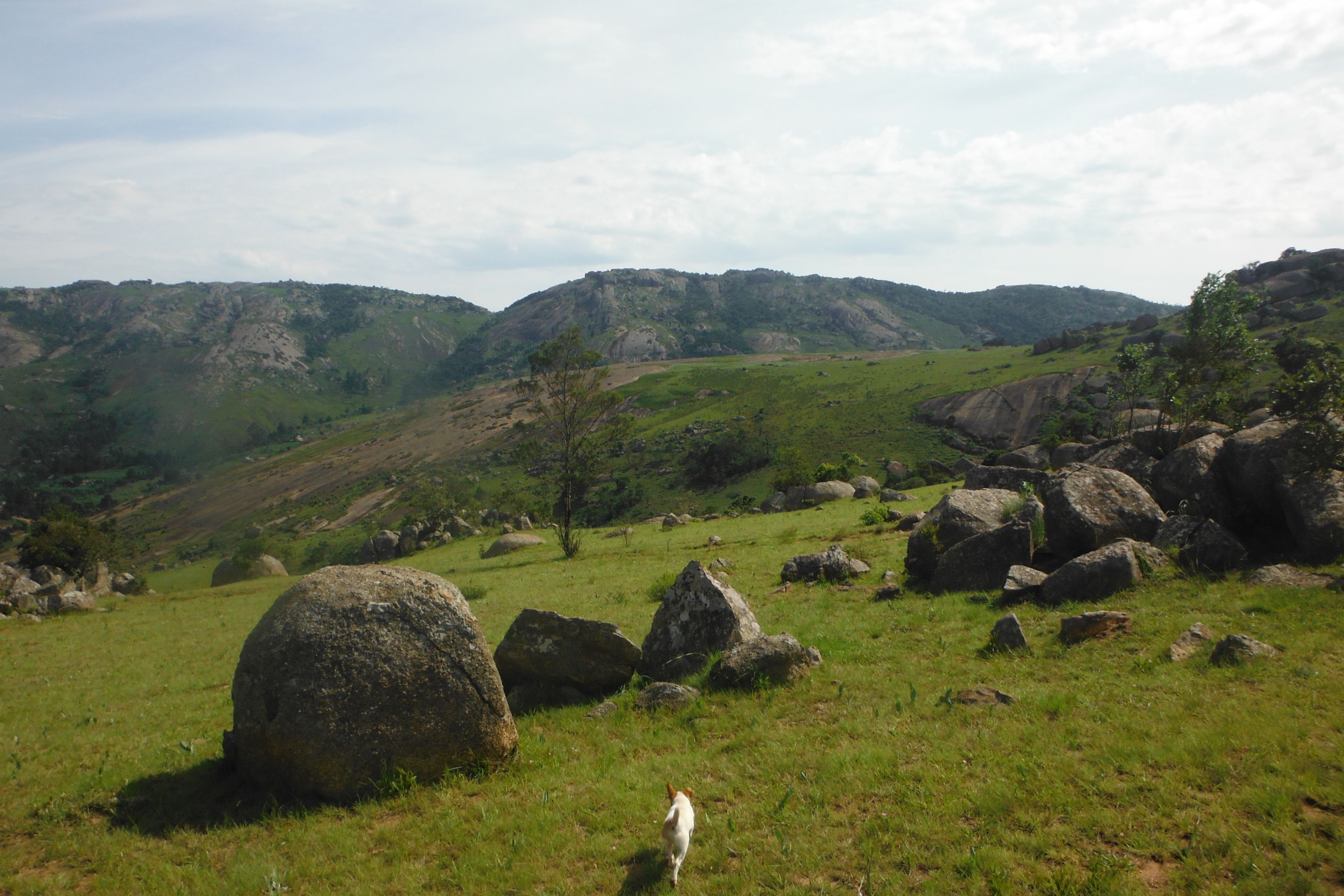 Um campo gramado com grandes pedras e uma paisagem montanhosa ao fundo.