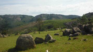 Um campo gramado com grandes pedras e uma paisagem montanhosa ao fundo.