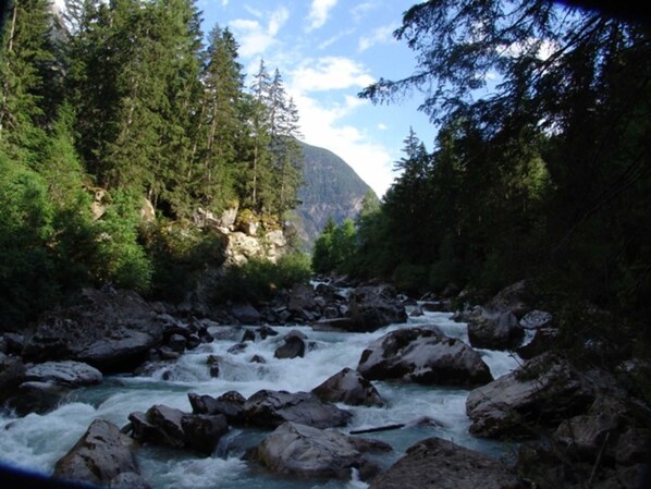 A river flowing through a forested area with rocks and trees. - Tower room - Haus Waldheim (Oetz)