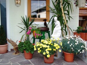 Immagine non classificata, 3 di 25, pulsante