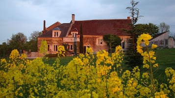 Bagian depan properti