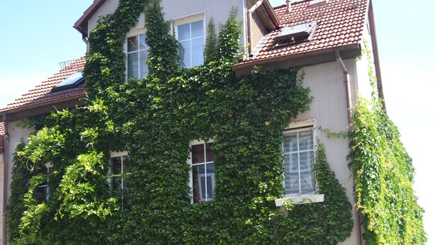 Un bâtiment doté d’une grande façade recouverte de lierre, de nombreuses fenêtres et d’une porte portant le numéro 30.