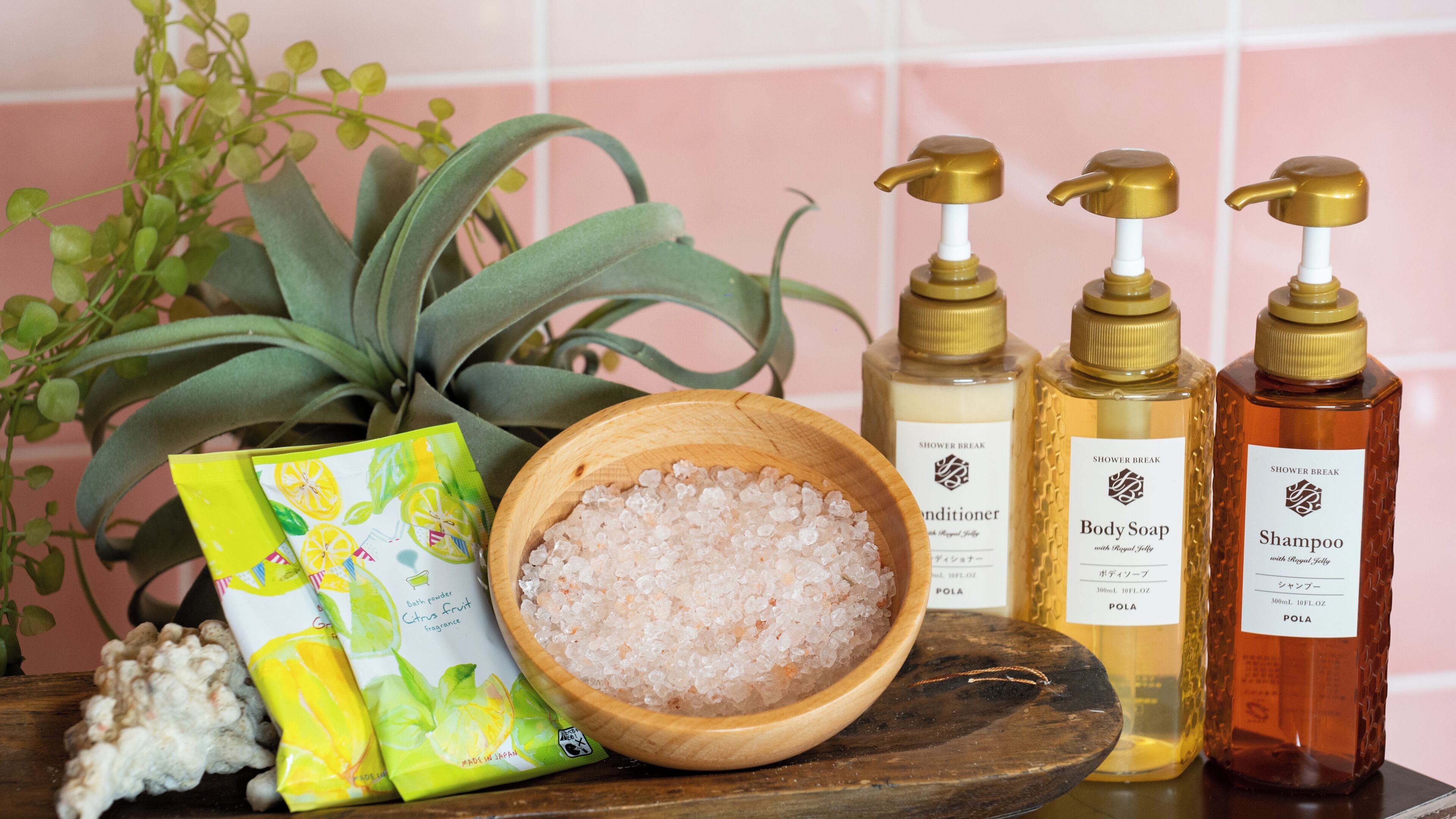 separate bathtub and shower, free toiletries, hair dryer, slippers