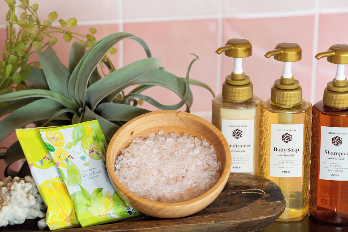 separate bathtub and shower, free toiletries, hair dryer, slippers