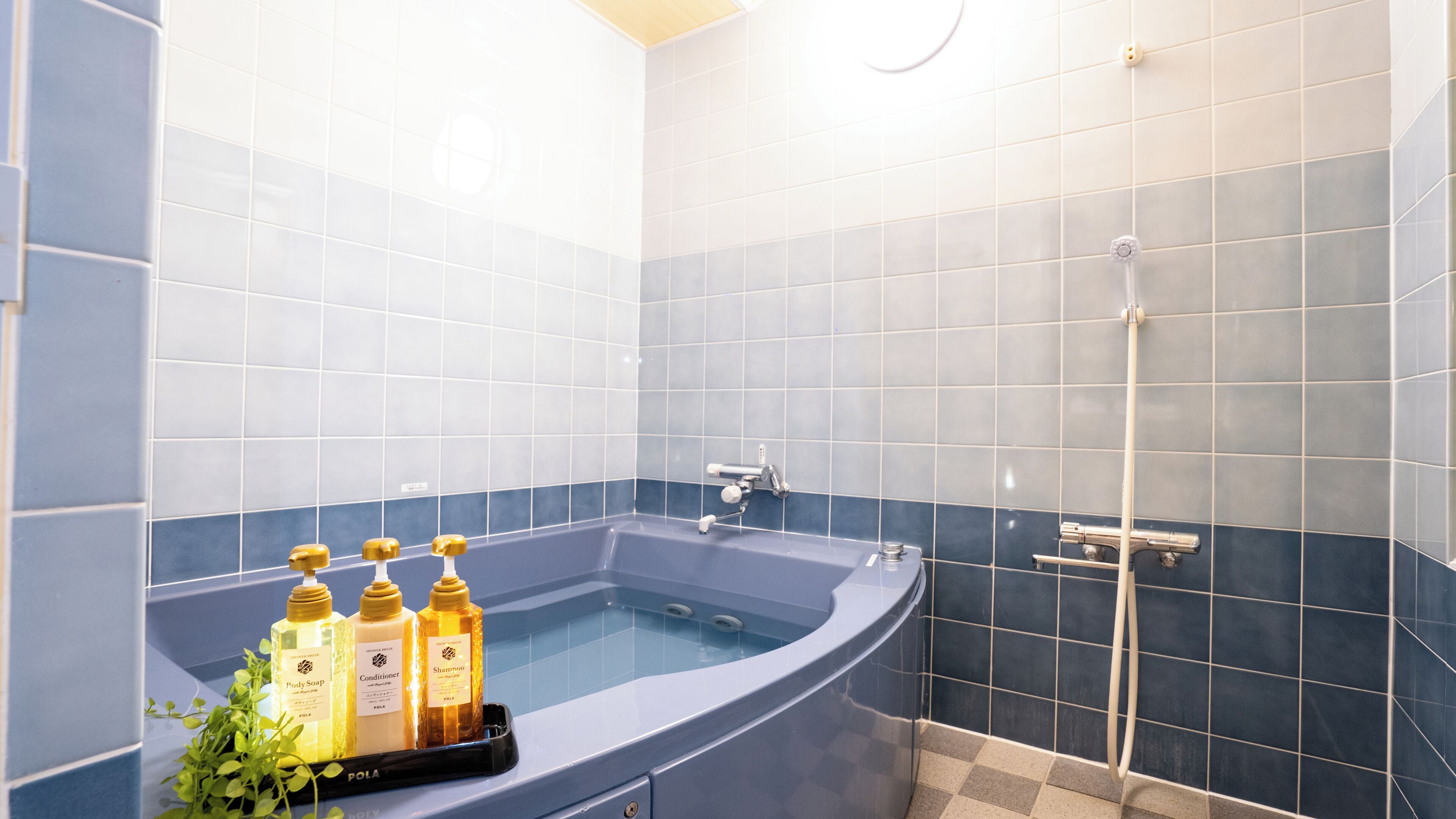 separate bathtub and shower, free toiletries, hair dryer, slippers