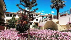 A building with a white facade, a palm tree, and pink flowers in the foreground. - Amari Hotel (Polygyros)
