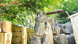 Naturlig basseng