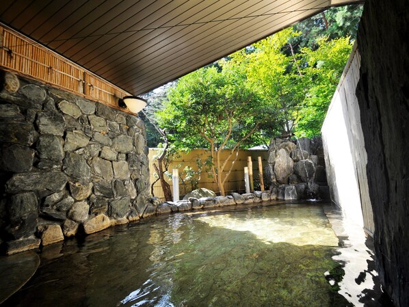 Escape to a serene oasis surrounded by lush greenery and a tranquil water feature.