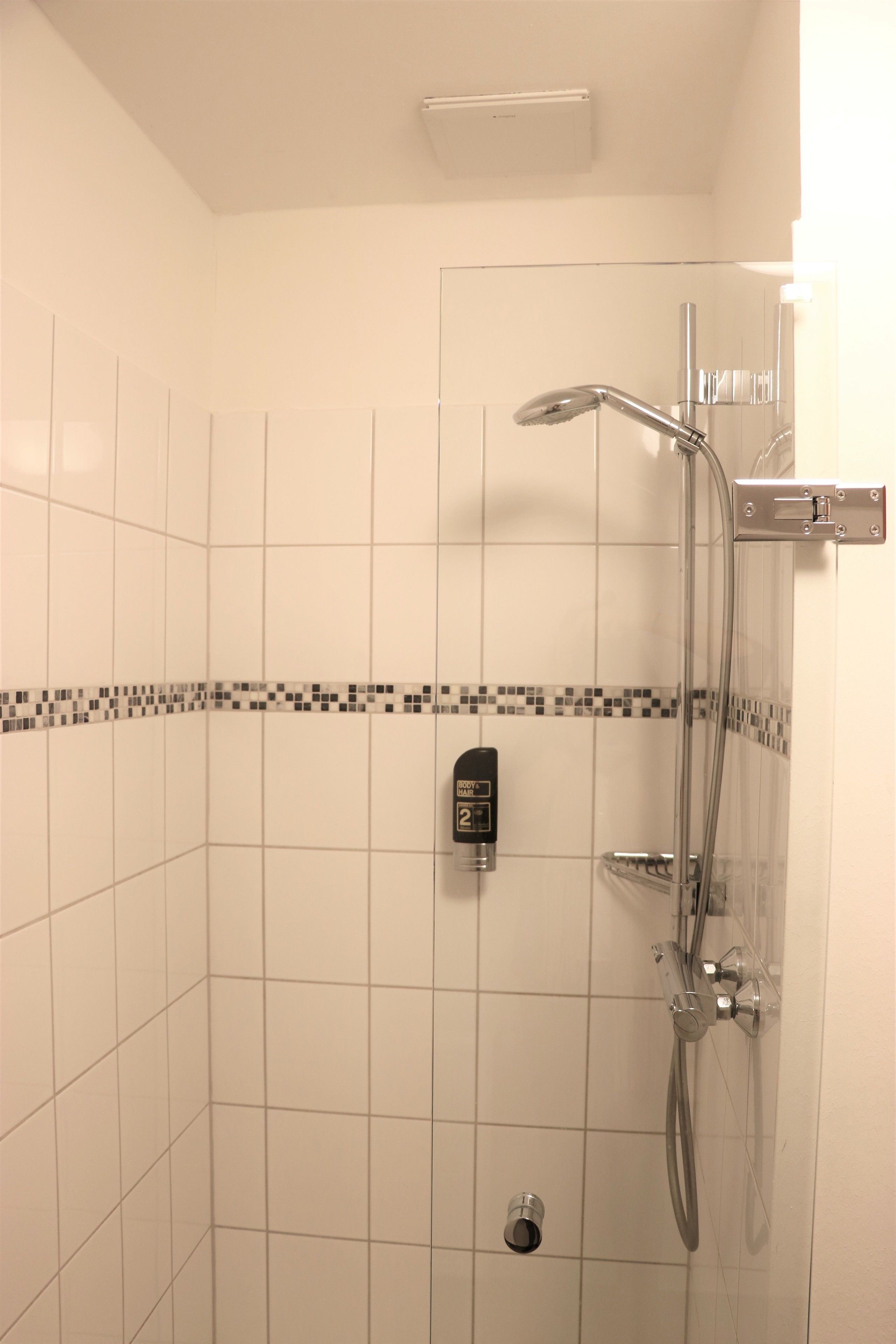 A shower area with a handheld showerhead and a wall-mounted faucet.