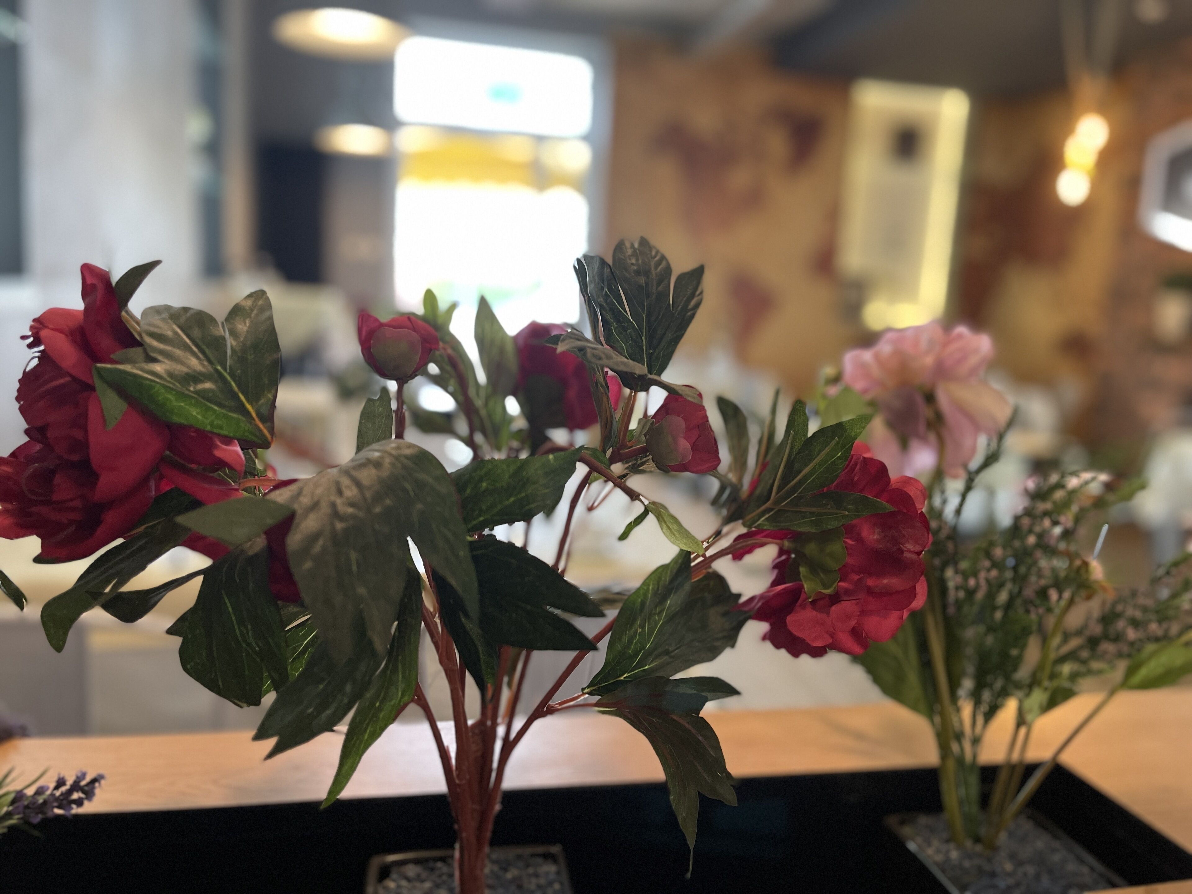 A potted plant with red and pink flowers in a modern indoor setting.