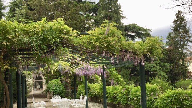 A garden pathway with a pergola covered in purple flowers, white chairs, and lush greenery. - B&B Villa al Parco (Sala Baganza)