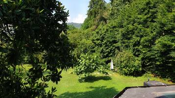 Chambre Double Deluxe, vue parc | Vue de la chambre