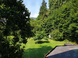 A lush garden with dense foliage and a clear sky. - B&B Villa al Parco (Sala Baganza)
