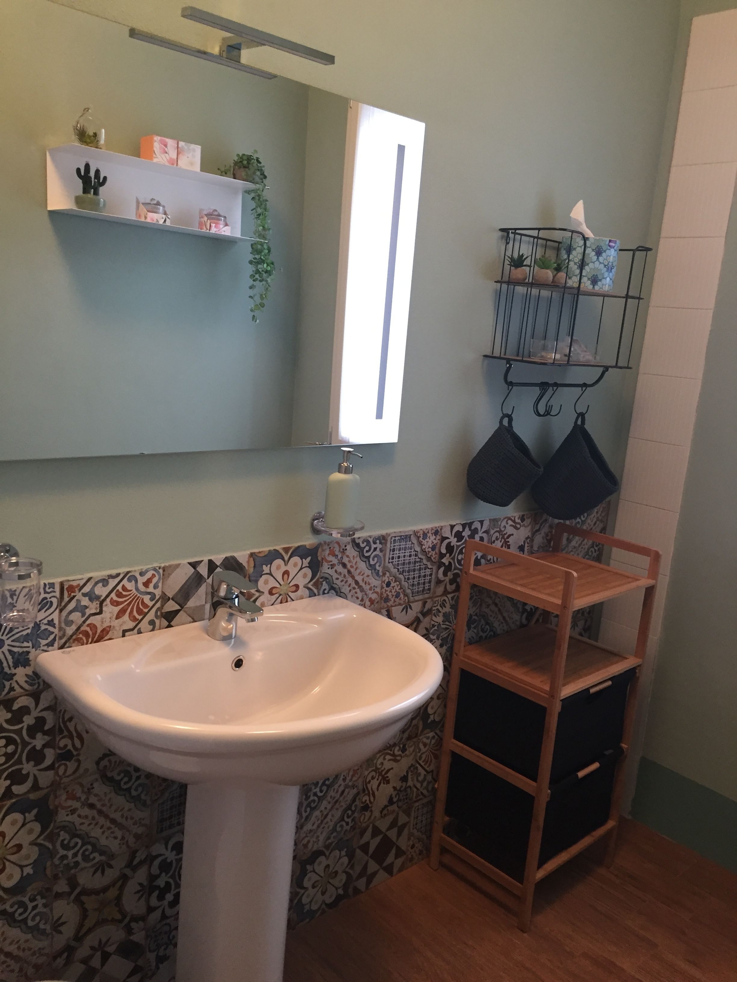 Un baño con un lavamanos blanco, un espejo y una repisa con plantas y un dispensador de pañuelos.