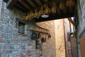 Exterior - Agriturismo Le Selve (Comunanza)