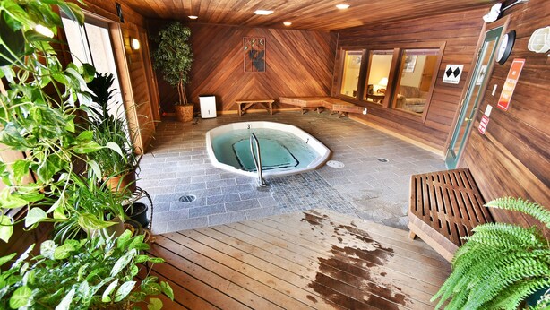 Een houten interieur met een bubbelbad, houten vloeren en potplanten.