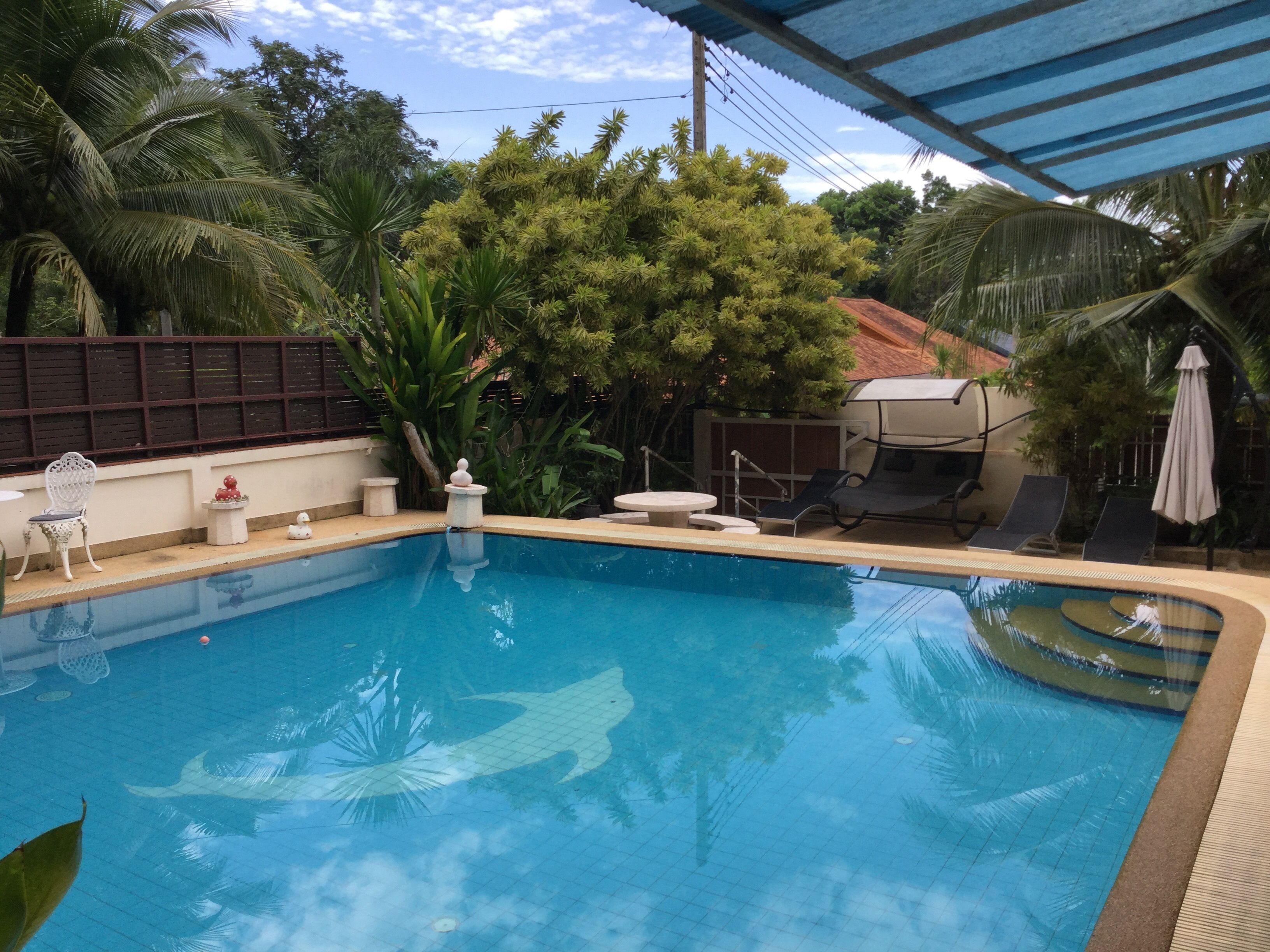 Outdoor pool, sun loungers