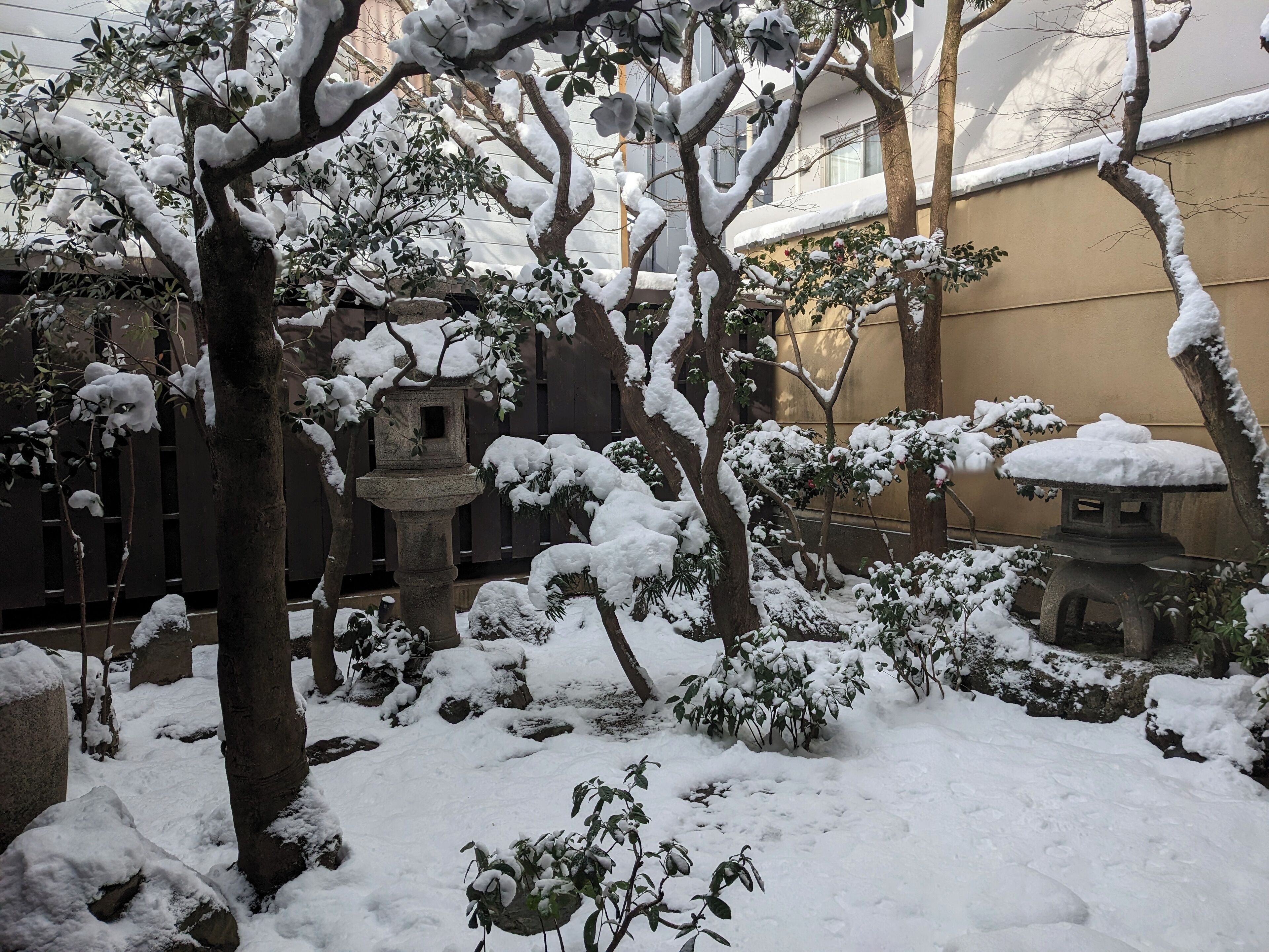 A snow-covered garden with stone lanterns and trees.